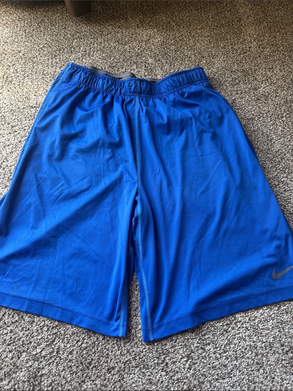 Nike Men's Royal Blue Athletic Shorts with Reflective Swoosh